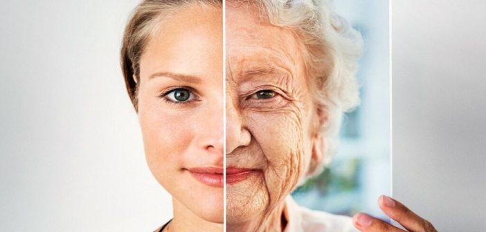 Шотландские ученые предложили новый способ борьбы со старением