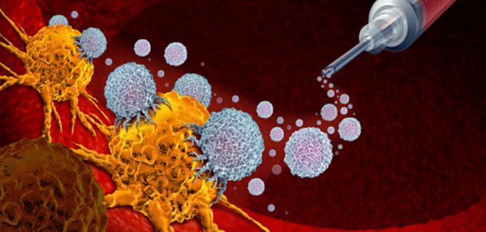 Molecular Cancer: ученые выявили комбинацию препаратов для лечения рака оболочек нервов
