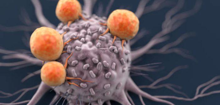  Elsevier: новый анализ может произвести революцию в лечении острого миелоидного лейкоза