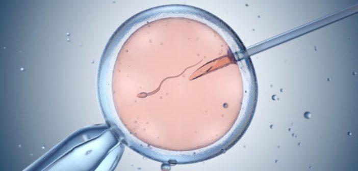 Ученые зафиксировали снижение мужской фертильности