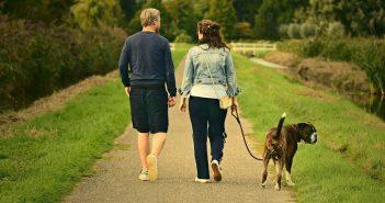 The Lancet: ходьба - спасение от болей в пояснице