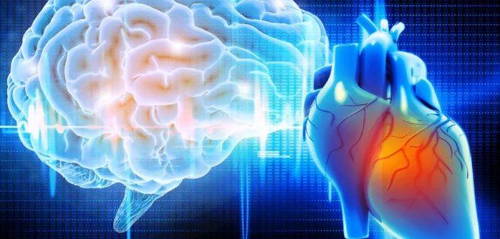 Нарушения в работе мозга приводят к развитию сердечных патологии